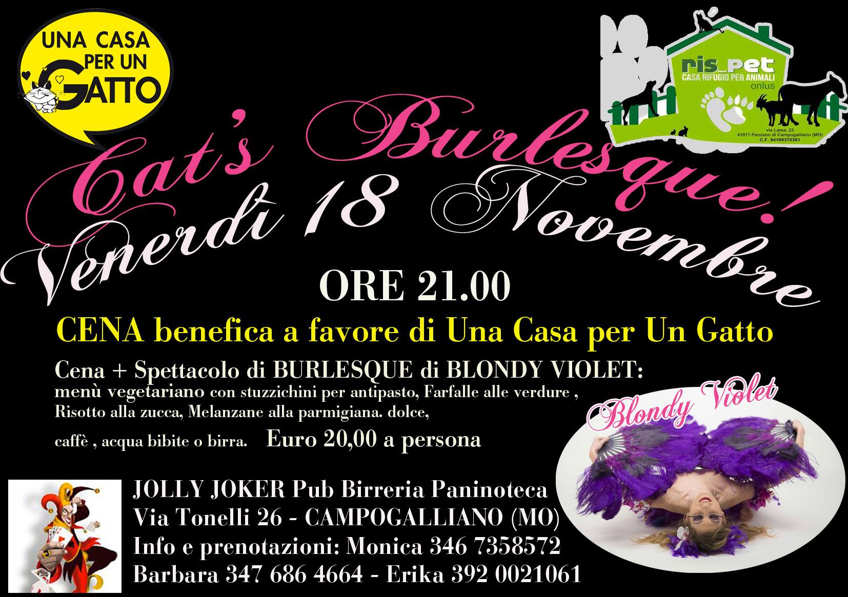 Blondy Violet for PETS Fundraising Dinner 18th Nov. 2016 @ Jolly Joker